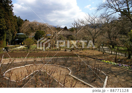 御殿場　秩父宮記念公園 88771128