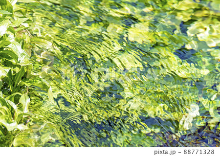 背景素材 水辺の新緑・清流・エコイメージ(大山 伯耆町) 背景素材 水辺の新緑・清流・エコイメージ(大山 伯耆町) 88771328