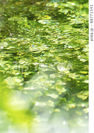 背景素材　水辺の新緑・清流・エコイメージ（大山 伯耆町） 88771341