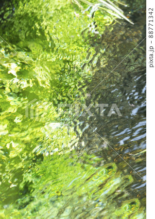 背景素材 水辺の新緑・清流・エコイメージ(大山 伯耆町) 背景素材 水辺の新緑・清流・エコイメージ(大山 伯耆町) 88771342