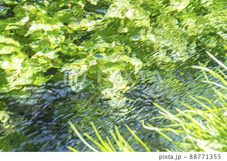 背景素材　水辺の新緑・清流・エコイメージ（大山 伯耆町） 88771355
