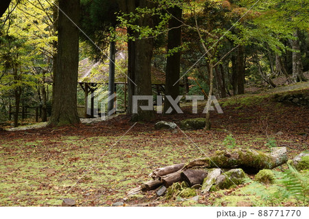 滑床渓谷森林公園にひっそりと建つ吾妻や 滑床渓谷森林公園にひっそりと建つ吾妻や 88771770