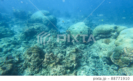 Beautiful underwater scene of colorful Coral reefs and large schools of redtail butterflyfish in Surin islands national park, Phang Nga, Thailand 88771910