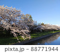 晴れた日の桜と水面 88771944
