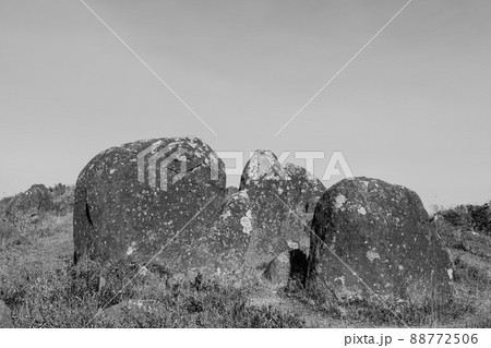 押戸石の丘　モノクロ　【熊本県阿蘇郡南小国町】 88772506