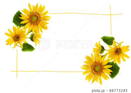 yellow flowers sunflowers arrangement flat lay postcard style 88773285