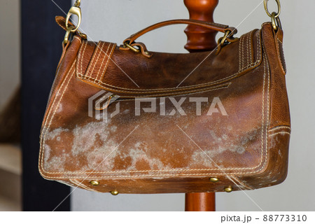 mould on bag 88773310