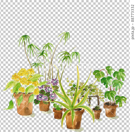 Various kinds of potted plants [Hand-painted watercolor] White background Transparent background Copy space 88773332