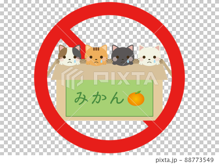 Abandoned cat protection crying expression Abandoned cat protection crying expression 88773549