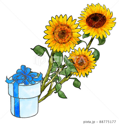 父の日の花とプレゼント  ひまわりのシンプルな水彩イラスト 88775177