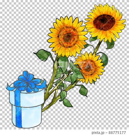 父の日の花とプレゼント  ひまわりのシンプルな水彩イラスト 88775177