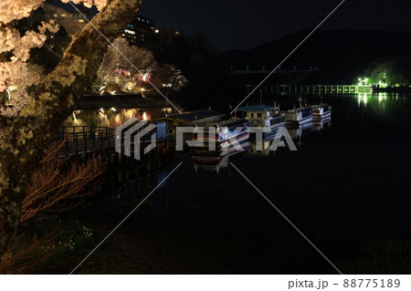 恵那峡・桜ライトアップ 88775189
