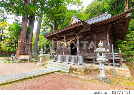 日枝神社 88775411