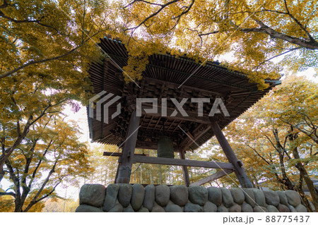 修禅寺の鐘楼堂と黄色に染まった紅葉 88775437