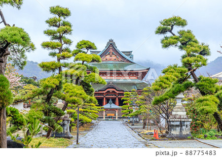 雨の甲斐善光寺　山梨県甲府市 88775483