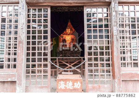 指月殿堂内の釈迦如来坐像 88775862