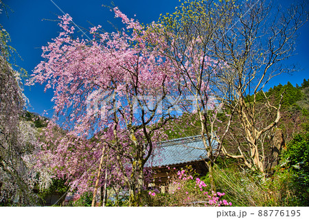 さくらー西雲寺 88776195