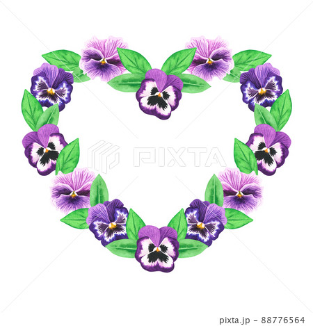 A heart of violets. Pansies. Watercolor illustration. Isolated on a white background. A heart of violets. Pansies. Watercolor illustration. Isolated on a white background. 88776564