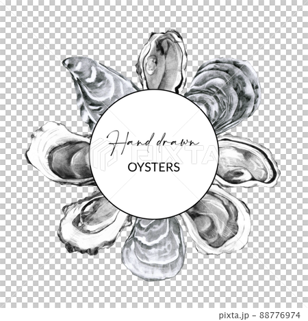 Round frame with hand drawn oysters Round frame with hand drawn oysters 88776974
