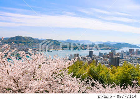 春の千光寺公園から見える、満開の桜と尾道水道 88777114