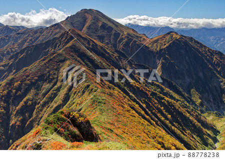 紅葉の越後駒ヶ岳稜線から見る中ノ岳 紅葉の越後駒ヶ岳稜線から見る中ノ岳 88778238
