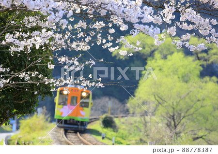 春の風を受けながら走るローカル列車(イメージ) 88778387