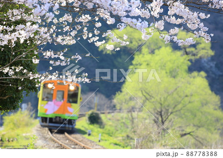 春の風を受けながら走るローカル列車(イメージ) 88778388
