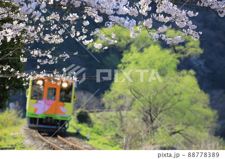 春の風を受けながら走るローカル列車(イメージ) 春の風を受けながら走るローカル列車(イメージ) 88778389