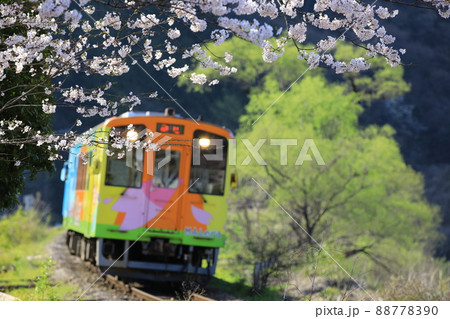 春の風を受けながら走るローカル列車(イメージ) 88778390