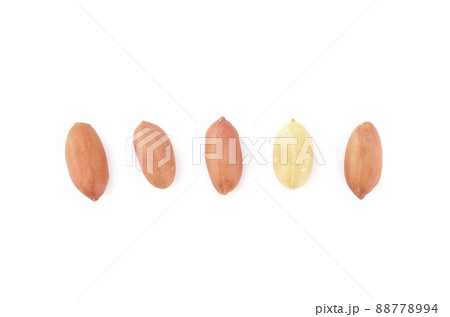 皮付きピーナッツ 皮付きピーナッツ 88778994