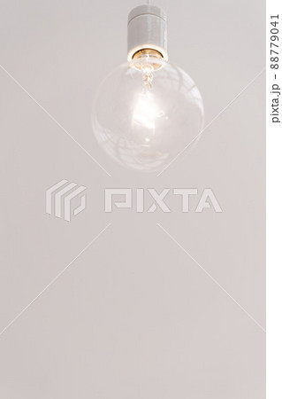 光る裸電球、明るい丸いガラス電球、 88779041
