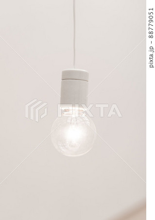 光る裸電球、明るい丸いガラス電球、 88779051