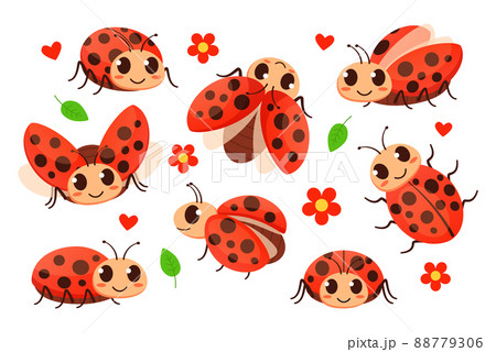 Cartoon ladybug. Cute ladybugs, garden red bugs and lady insect vector set 88779306