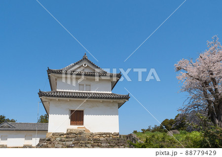 春の彦根城二の丸佐和口多聞櫓 88779429