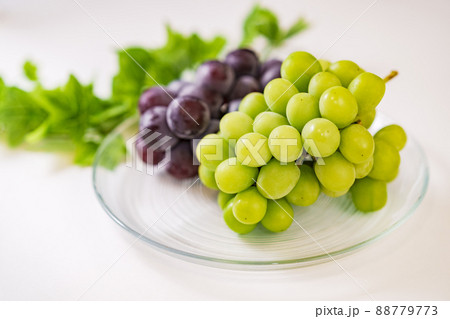 ブドウ　シャインマスカット　ピオーネ　【 ふるさと納税 の 返礼品 の イメージ 】 88779773