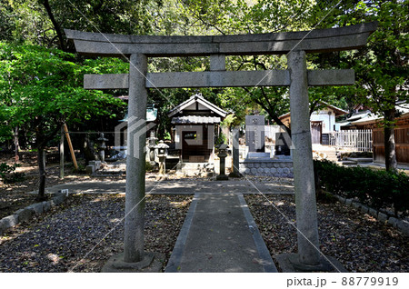 上地八幡宮 境内 上地八幡宮 境内 88779919