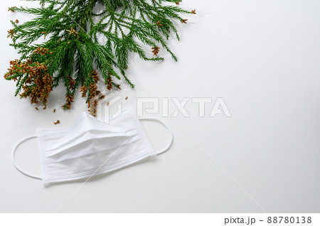 スギ花粉　マスク　アレルギー 88780138