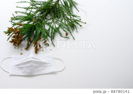 スギ花粉　マスク　アレルギー 88780141