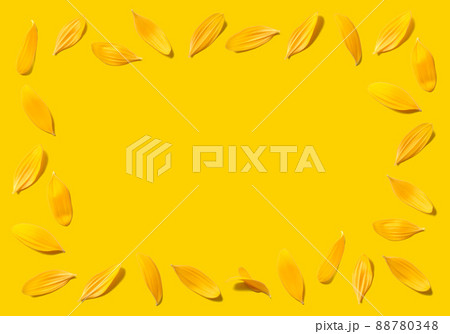 黄色で揃えた背景がおしゃれ!ひまわりの花びらフレーム 黄色で揃えた背景がおしゃれ!ひまわりの花びらフレーム 88780348