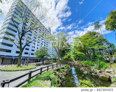 東京板橋・新緑の高島平緑地 88780403