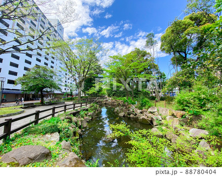 東京板橋・新緑の高島平緑地 88780404