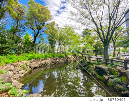 東京板橋・新緑の高島平緑地 88780405