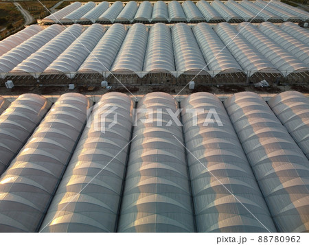 Aerial drone view of huge areas greenhouse for growing vegetables. Greenhouse farming, agriculture industry. Flying over large industrial greenhouses at sunset. 88780962