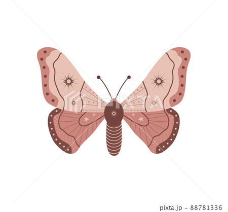 Boho butterfly. Insect with celestial elements. Witch and magic symbol. Abstract hand drawn moth. Vector illustration in bohemian style Boho butterfly. Insect with celestial elements. Witch and magic symbol. Abstract hand drawn moth. Vector illustration in bohemian style 88781336
