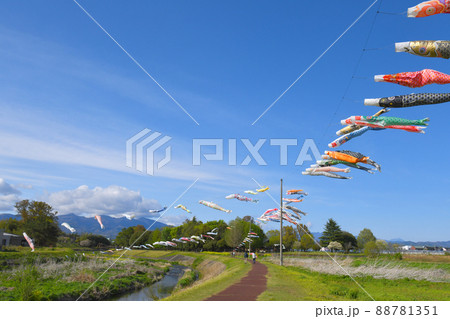 鯉のぼり 88781351