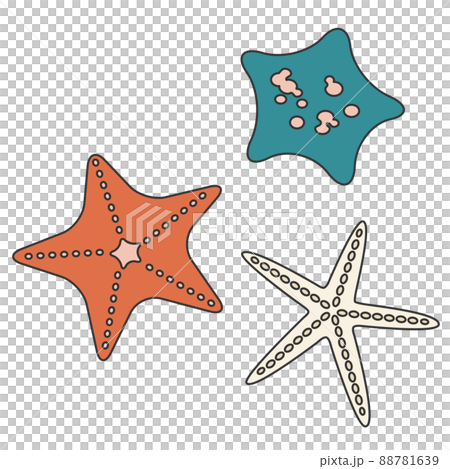 手描き風に描かれたヒトデのイラストのイラスト素材