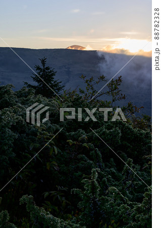 Picturesque landscape with green mountains and grassy meadow in the valley surrounded by coniferous forest on the hills. beautiful landscapes of the Carpathian Mountains in the fog. Picturesque landscape with green mountains and grassy meadow in the valley surrounded by coniferous forest on the hills. beautiful landscapes of the Carpathian Mountains in the fog. 88782328
