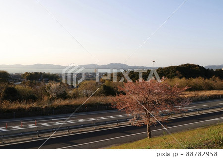 宍道湖サービスエリアから見た宍道湖 島根県松江市 宍道湖サービスエリアから見た宍道湖 島根県松江市 88782958