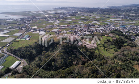 『桜』日野江城跡　潜伏キリシタン関連遺産 88783547