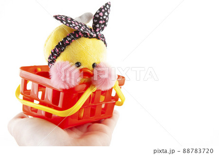 image of toy duck basket hand white background image of toy duck basket hand white background 88783720